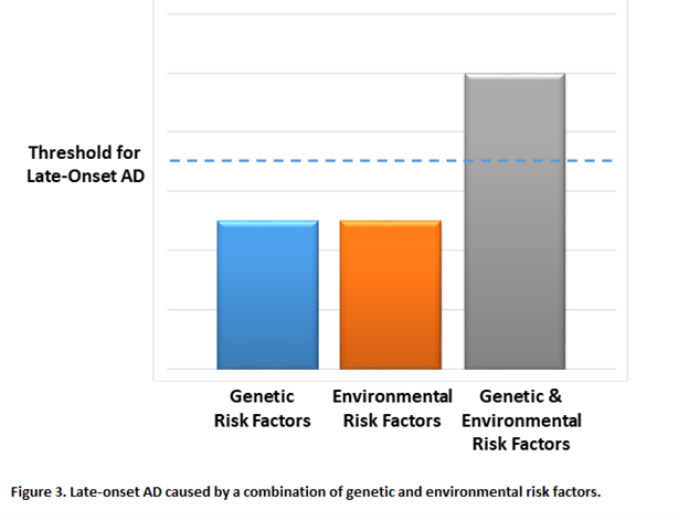 Late-onset AD caused by a combination of genetic and environmental factors.